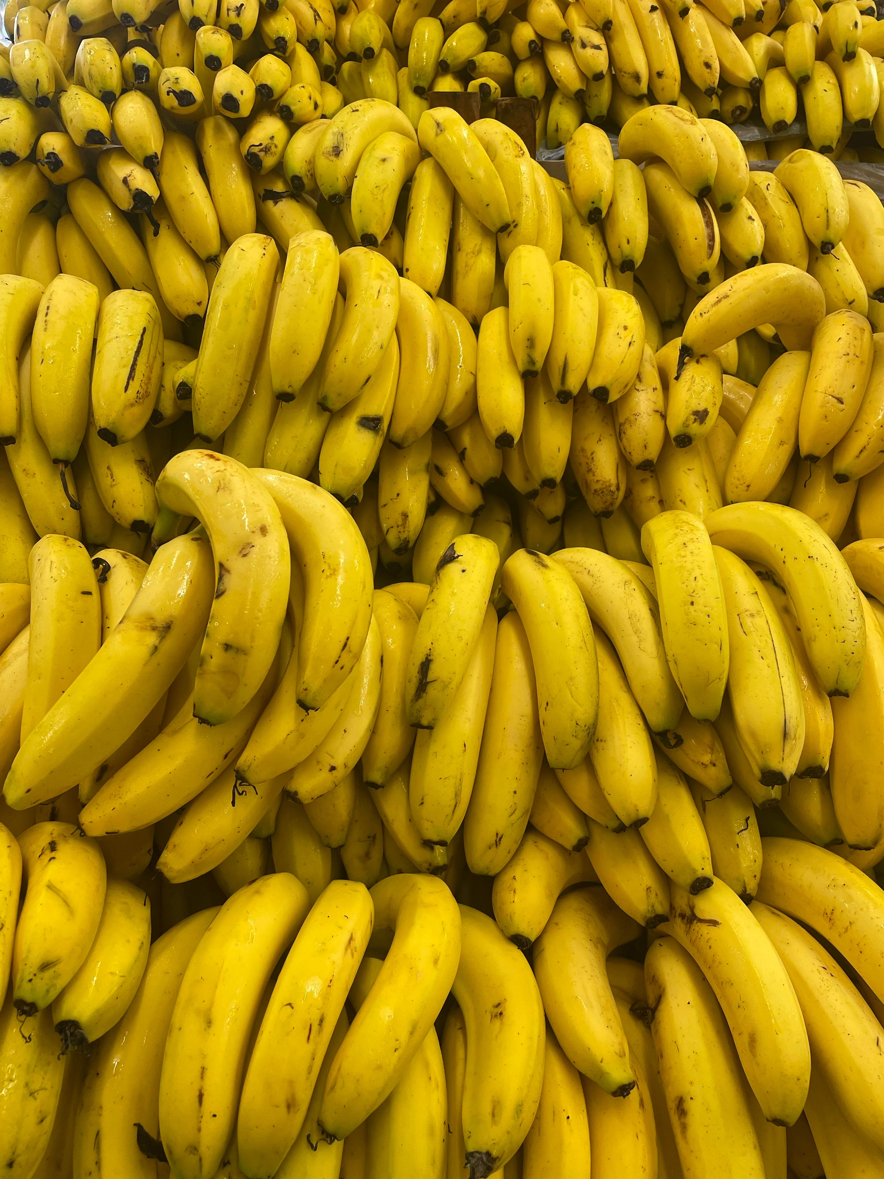 Pourquoi le bio ou le commerce équitable coûte plus cher