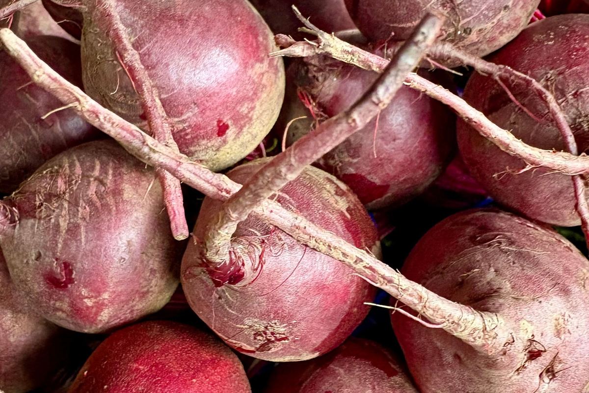 Ce qu'il faut savoir côté nutrition