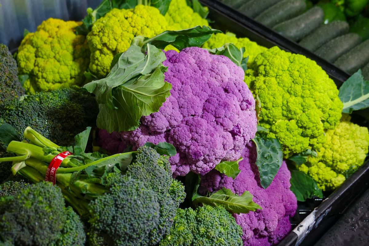 Ce qu'il faut savoir côté nutrition