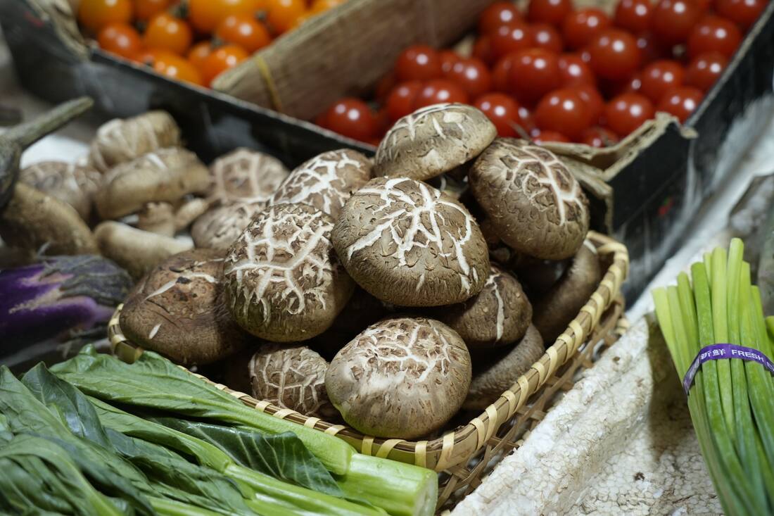 Ce qu'il faut savoir côté nutrition
