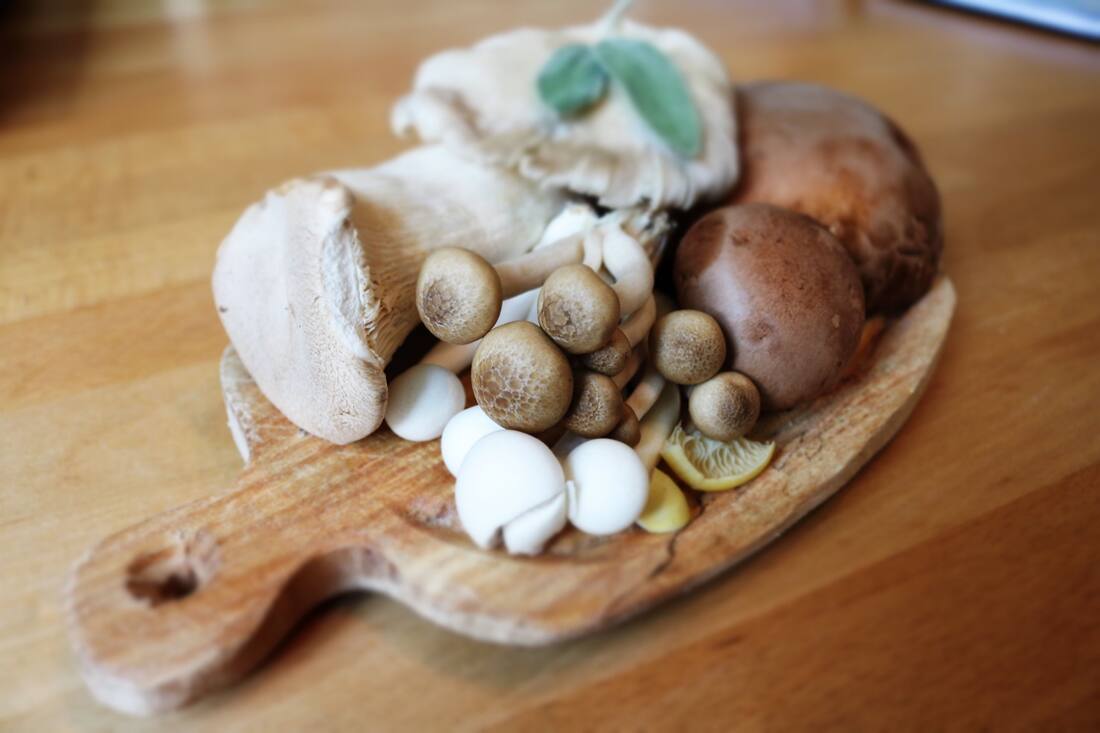 Les types de champignons en rayon