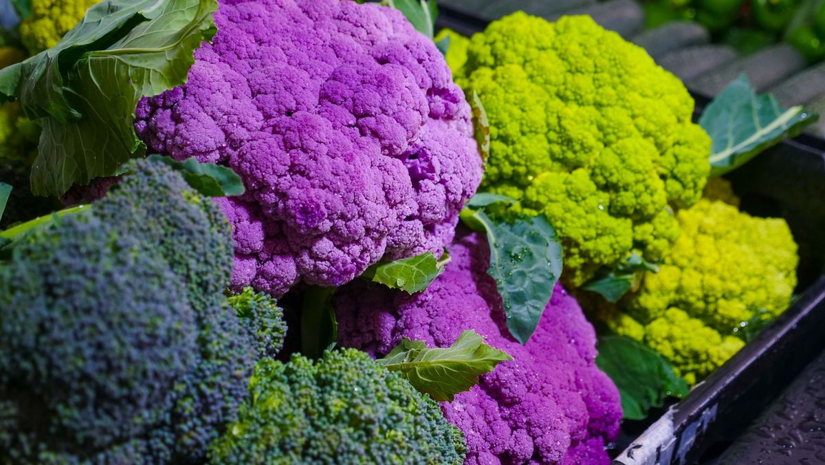 Ce qu'il faut savoir côté nutrition