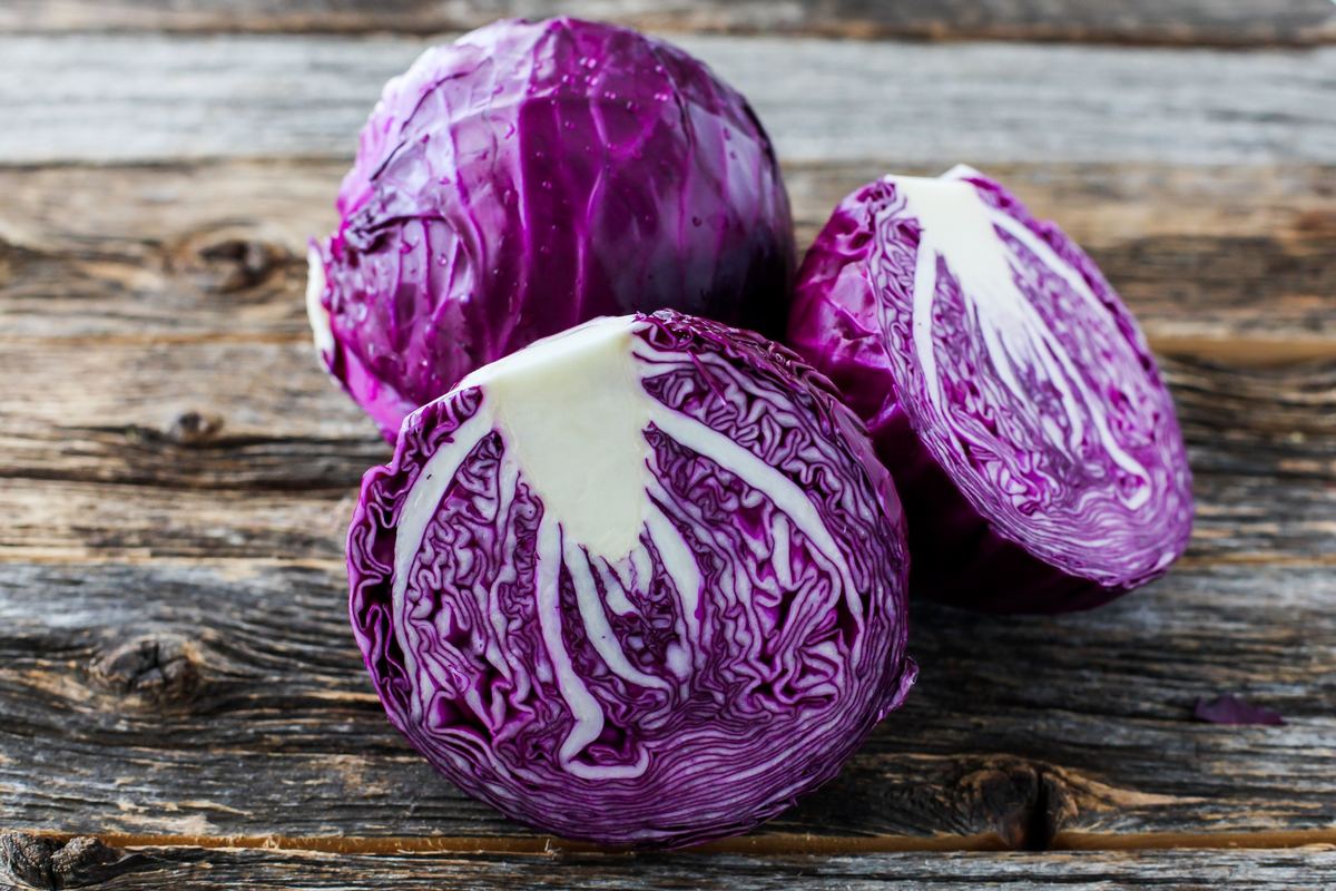 Ce qu'il faut savoir côté nutrition