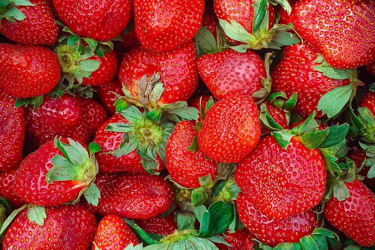 Fraises fraîches, surgelées ou en barquette : ce qu'on trouve en rayon