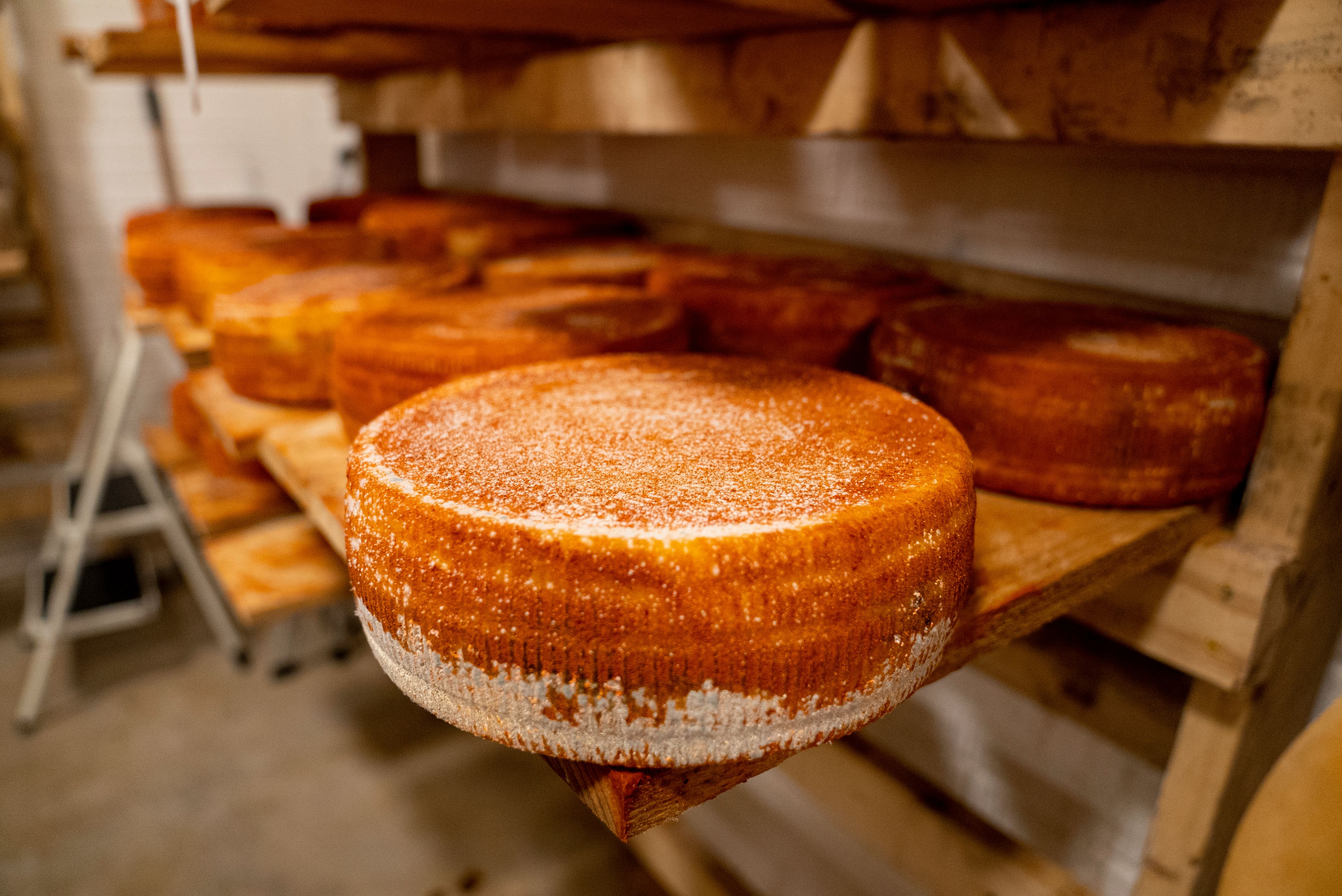 Une spécificité belge : les fromages d'abbaye