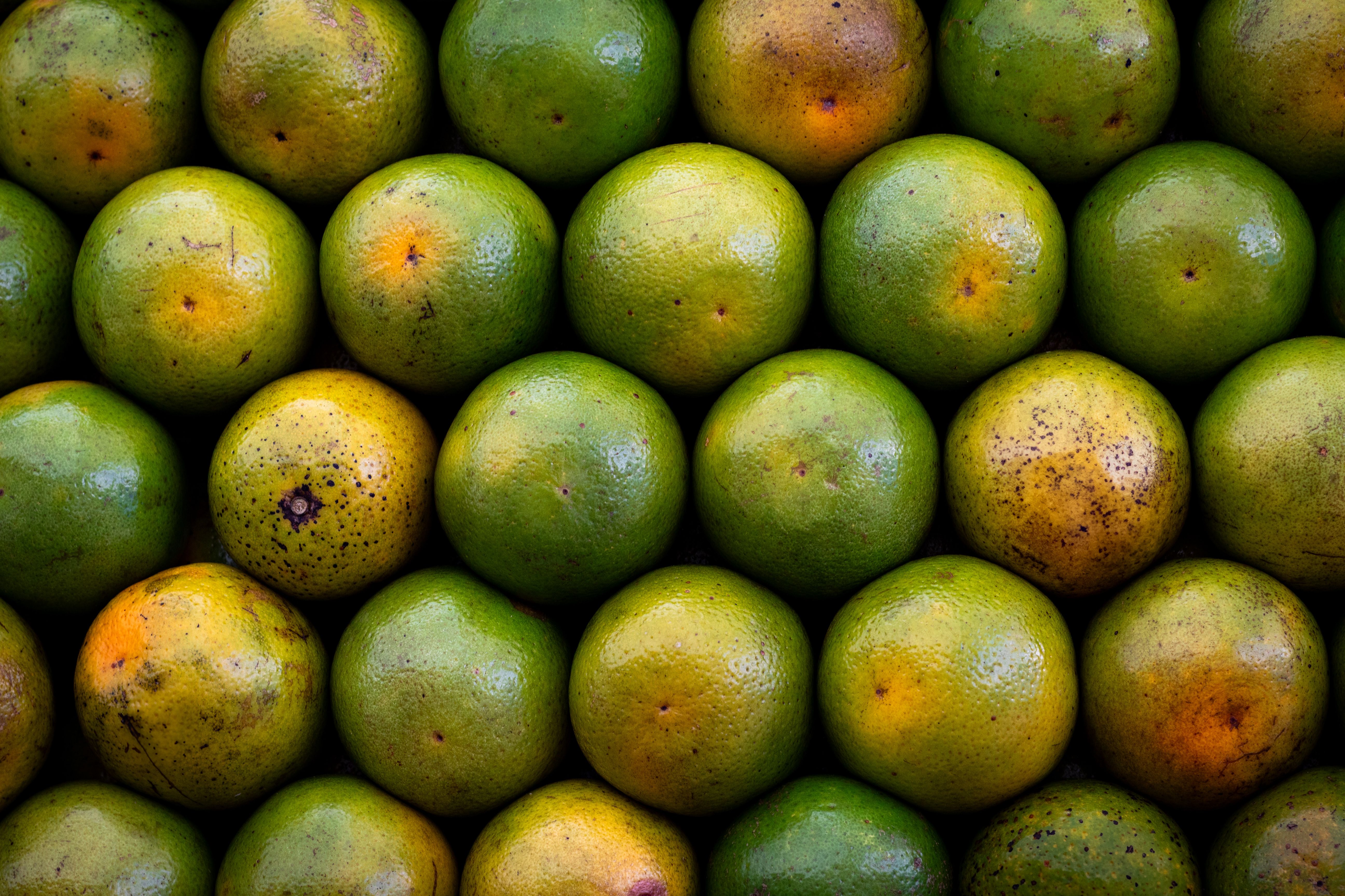 D'où viennent nos oranges, et pourquoi le prix change avec la saison