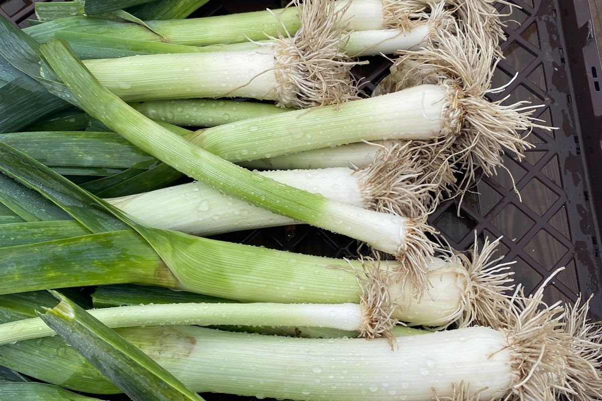 Ce qu'il faut savoir côté nutrition