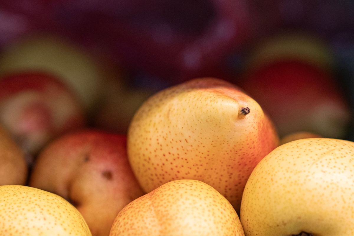 Ce qu'il faut savoir côté nutrition