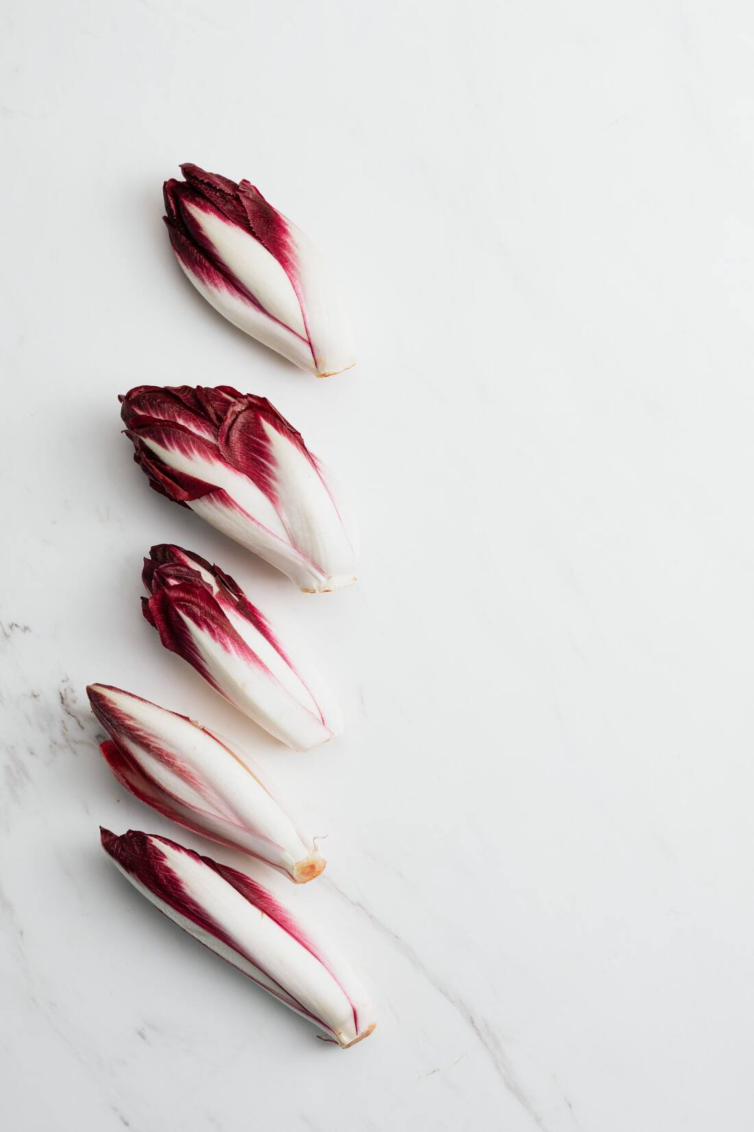 Witloof, chicon, endive : de quoi parle-t-on ?